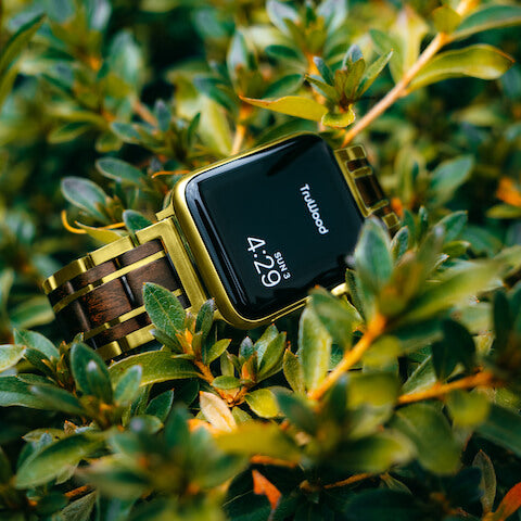 A Watch Band That Tells a Story
